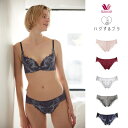 ワコール ハグするブラ ショーツ スタンダード ML セール 単品 wacoal BXB418 レース レディース 女性用 パンティ