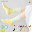 【クーポンで990円◎9日20:00開始】【 送料無料 】 靴下 キッズ 女の子 ガールズ ソックス ジュニア 5足セット [ Girls 可愛い くつした く...