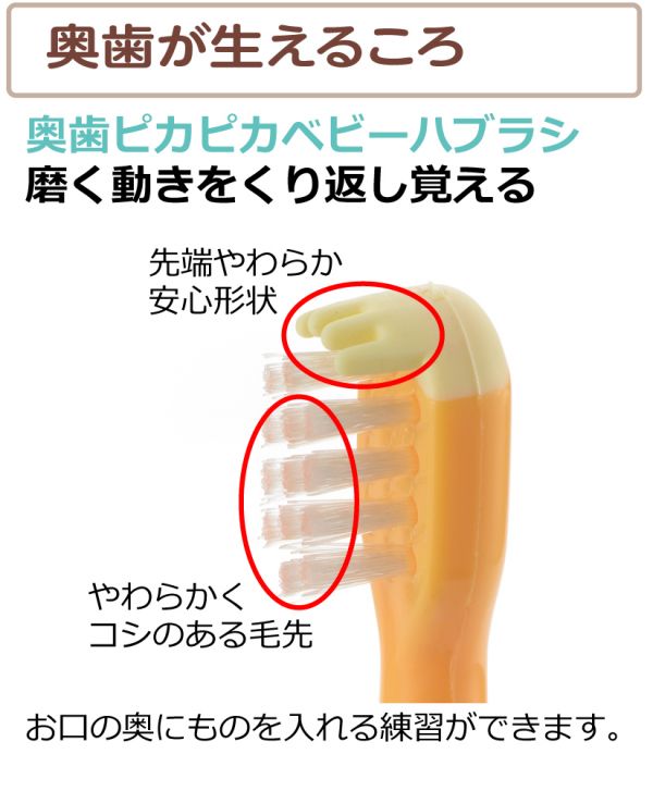 【単品11個セット】 バンダイ ハブラシ3本セット スプラトゥーン3(代引不可)【送料無料】