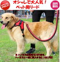 完全閉店セール!最大90%OFF!【期間限定お買い得価格1260円送料無料!ハーネスと一緒に購入するとさらに100円引き】★カラフルで大人気!ペット用リード!★ペットハーネス/ペットリード/胴輪/首輪/ペットグッズ/ドッグ用品/ペット用品/引きひも/犬リード/中大型犬用