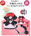 完全閉店セール!最大90%OFF!★猫用胸当て、ハーネス&リードセット★【期間限定価格送料無料★快適おしゃれな猫用胸当て、ハーネス&リードセットf★ペットハーネ...