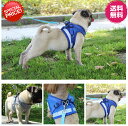 完全閉店セール!最大90%OFF!★ペットハーネス&リードセット★【期間限定価格送料無料800円★快適おしゃれな猫用胸当て、ハーネス&リードセットf★ペットハー...