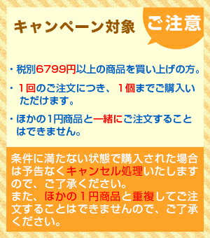 ★送料無料 RDH-C シアン 単品 エプソン 用 互換 インク (RDH RDH-4CL RDH4CL RDHC PX-049A PX-048A PX049A PX048A)