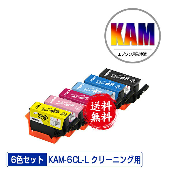 クリーニングカートリッジ KAM-6CL-L 増量 6色セット メール便 送料無料 エプソン用 互換 洗浄カートリッジ プリンター 洗浄液 目詰まり解消 (KAM-L KAM KAM-6CL KAM-6CL-M KAM-BK-L KAM-C-L KAM-M-L KAM-Y-L KAM-LC-L KAM-LM-L KAM-BK KAM-C KAM-M KAM-Y KAM-LC KAM-L)