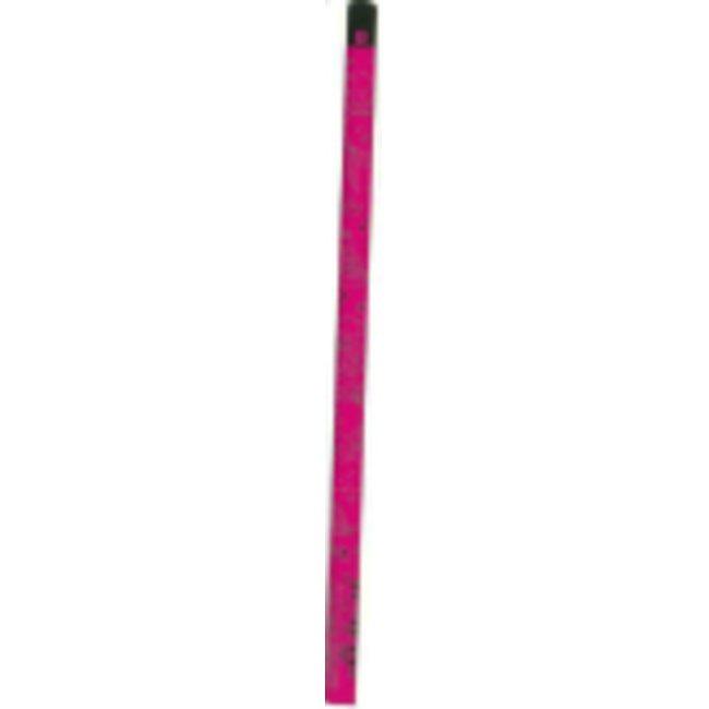 ディズニー 鉛筆B 5本セット リトルマーメイド スーパーセール限定