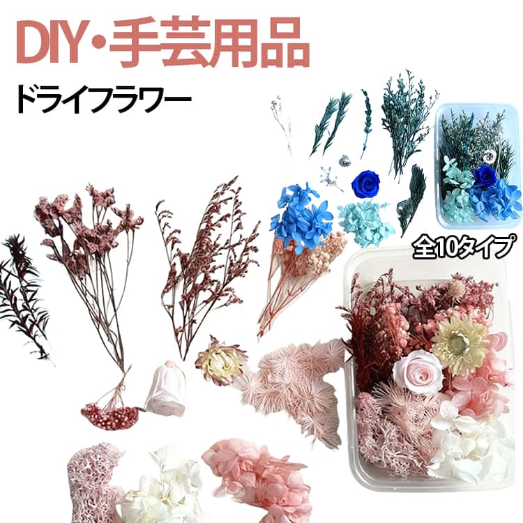 押し花 ドライフラワー セット ハーバリウム アクセサリーパーツ ミックスドライフ...
