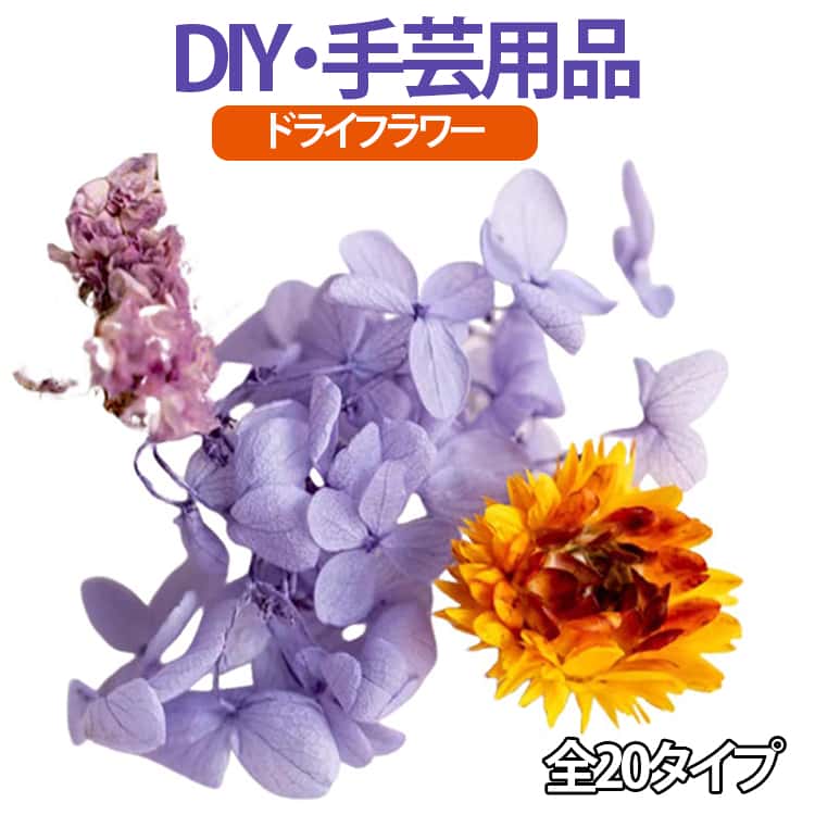 乐天商城 - MIX ドライフラワー 全20タイプ 封入 ミックスフラワー 花 DIY アソートセット レジン 素材 クリスマス 花材 本物 自然素材 パーツ ハーバリウム ドライフラワー 手作り カラフル 可愛い オリジナル 誕生日 記念日 手作りプレゼント