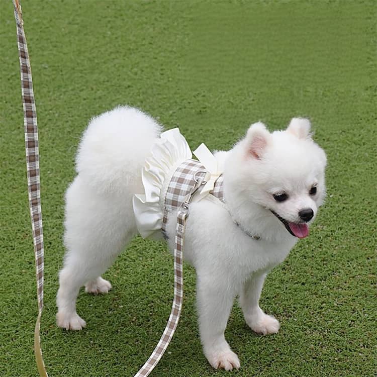ペット ワンピース 小 リボン 犬用 お洒落 成犬用 リード 愛犬 お散歩 子犬 胴輪 ...