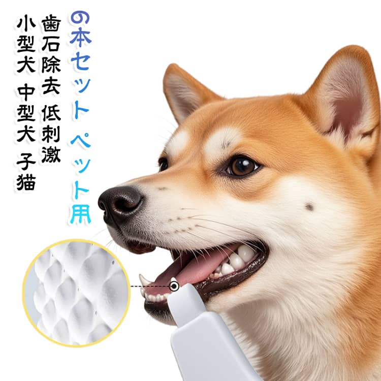 水に濡らして優しくこするだけで、ワンちゃん・ネコちゃんの歯垢や黄ばみをケアできるペット用歯磨きクリーナーです。低刺激なナノフォームで歯茎をマッサージし、歯周病や口臭の予防にお役立ちます。小型犬から中型犬、子犬・子猫まで安心して使えます。6本セットで替えやすく、口内洗浄のお手入れに便利です。 サイズ 6本セット サイズについての説明 サイズ：F※画像の商品は光の照射や角度により、実物と色味が異なる場合がございます。また表示のサイズ感と実物は若干異なる場合もございますので、予めご了承ください。※サイズ詳細等の測り方はスタッフ間で統一、徹底はしておりますが、実寸は商品によって若干の誤差がある場合がございますので、予めご了承ください。 素材 ナノフォーム 色 白 備考 ●サイズ詳細等の測り方はスタッフ間で統一、徹底はしておりますが、実寸は商品によって若干の誤差(1cm～3cm )がある場合がございますので、予めご了承ください。 ●製造ロットにより、細部形状の違いや、同色でも色味に多少の誤差が生じます。 ●パッケージは改良のため予告なく仕様を変更する場合があります。 ▼商品の色は、撮影時の光や、お客様のモニターの色具合などにより、実際の商品と異なる場合がございます。あらかじめ、ご了承ください。 ▼生地の特性上、やや匂いが強く感じられるものもございます。数日のご使用や陰干しなどで気になる匂いはほとんど感じられなくなります。 ▼同じ商品でも生産時期により形やサイズ、カラーに多少の誤差が生じる場合もございます。 ▼他店舗でも在庫を共有して販売をしている為、受注後欠品となる場合もございます。予め、ご了承お願い申し上げます。 ▼出荷前に全て検品を行っておりますが、万が一商品に不具合があった場合は、お問い合わせフォームまたはメールよりご連絡頂けます様お願い申し上げます。速やかに対応致しますのでご安心ください。