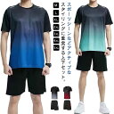 ジャージ 半袖 スポーツ メンズ ドライ 上下セット 吸汗 上下 セットアップ ショートパンツ Tシャツ 冷感 通気性 軽量 スポーツウェア 部屋着 ルームウェ...