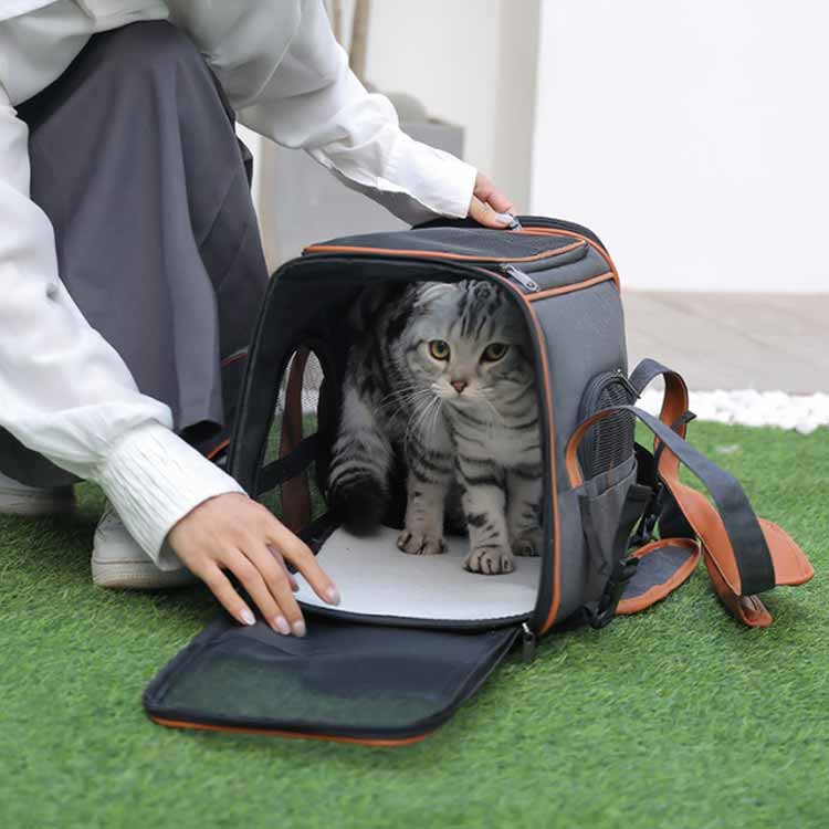 キャリーバッグ 犬用 バック 移動 小型犬 ペットキャリー 反射ストリップ付き 猫用...