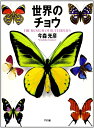 世界のチョウ