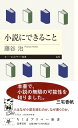 小説にできること (ちくまプリマー新書 472)