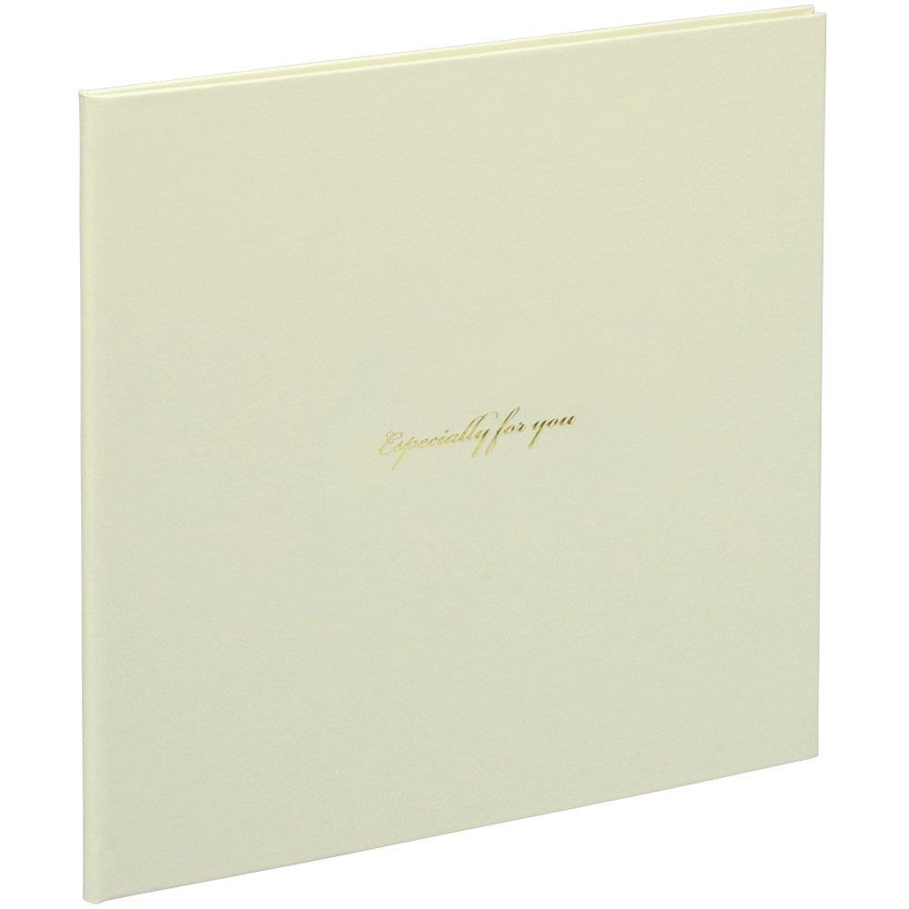 ナカバヤシ ファイル Vカットマット写真台紙 KG判2面 スクエアタイプ ホワイト VMKG-201-W