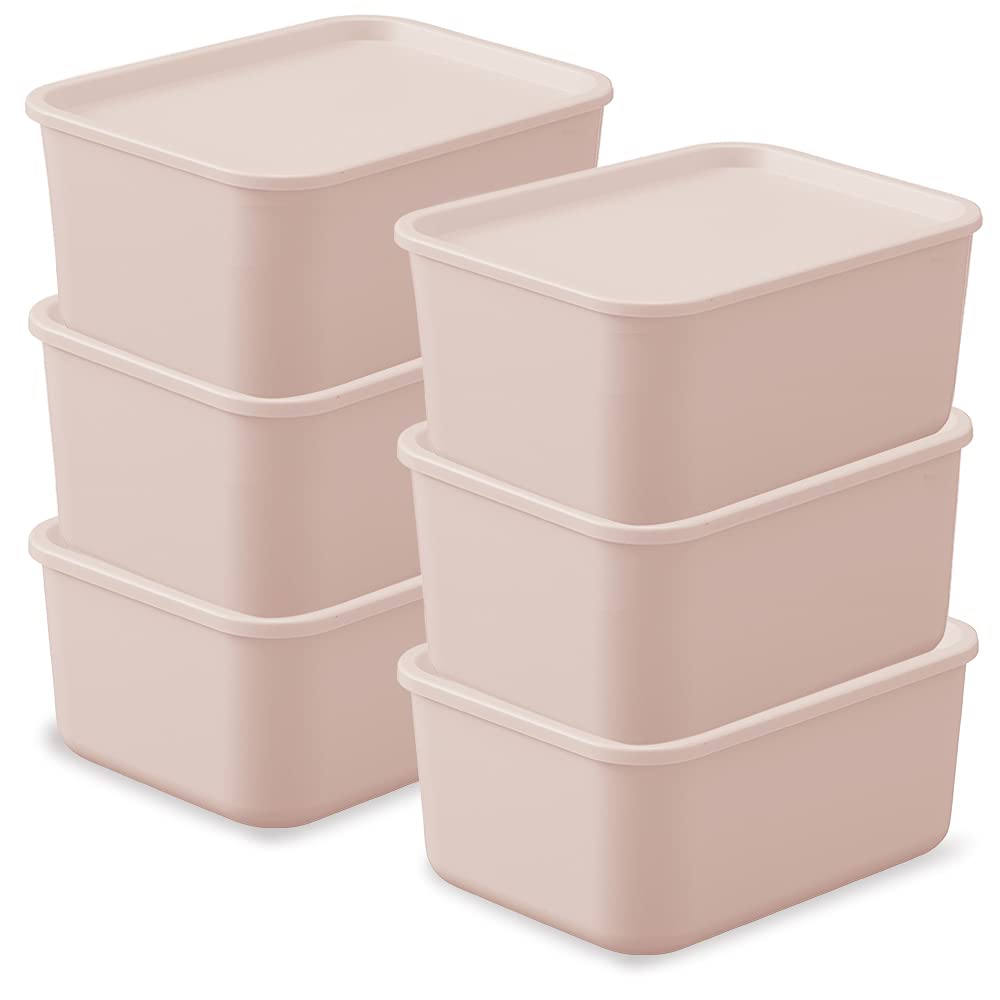 アイリスオーヤマ 収納ボックス ふた付き 6個セット 幅29×奥行22×高さ13cm 収納ケース ふた付き積み重..