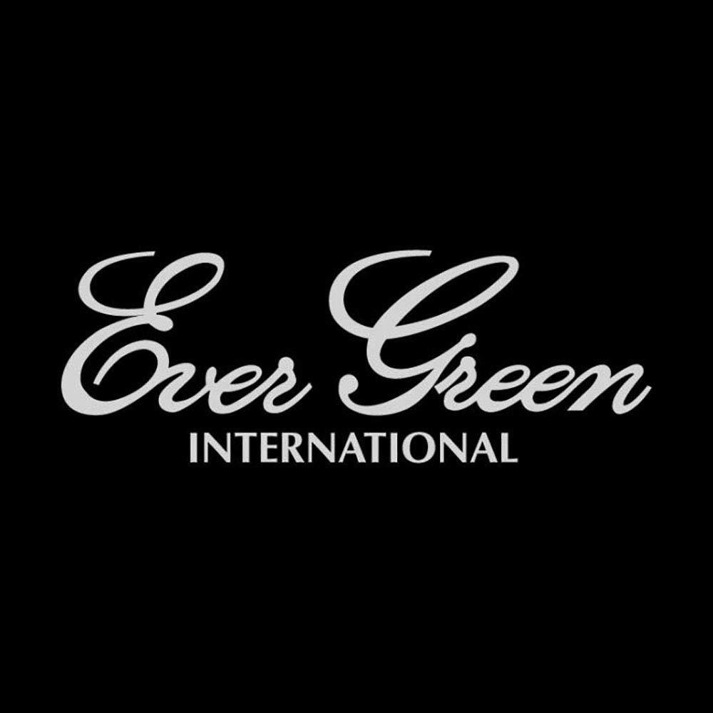 エバーグリーン(EVERGREEN) ステッカー エバーグリーンボートディカル L シルバー