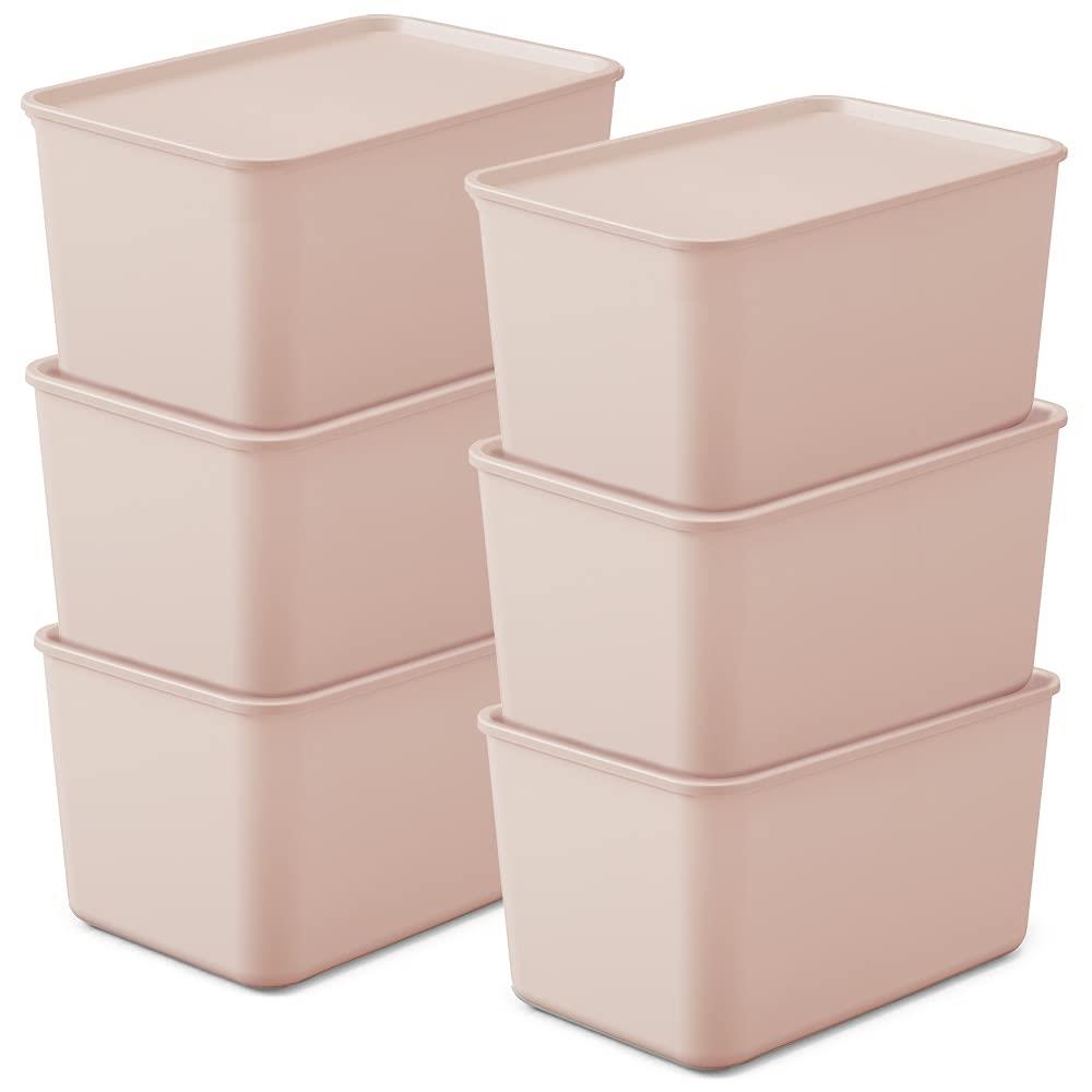 アイリスオーヤマ 収納ボックス ふた付き 6個セット 幅45×奥行29×高さ25cm 収納ケース ふた付き積み重..