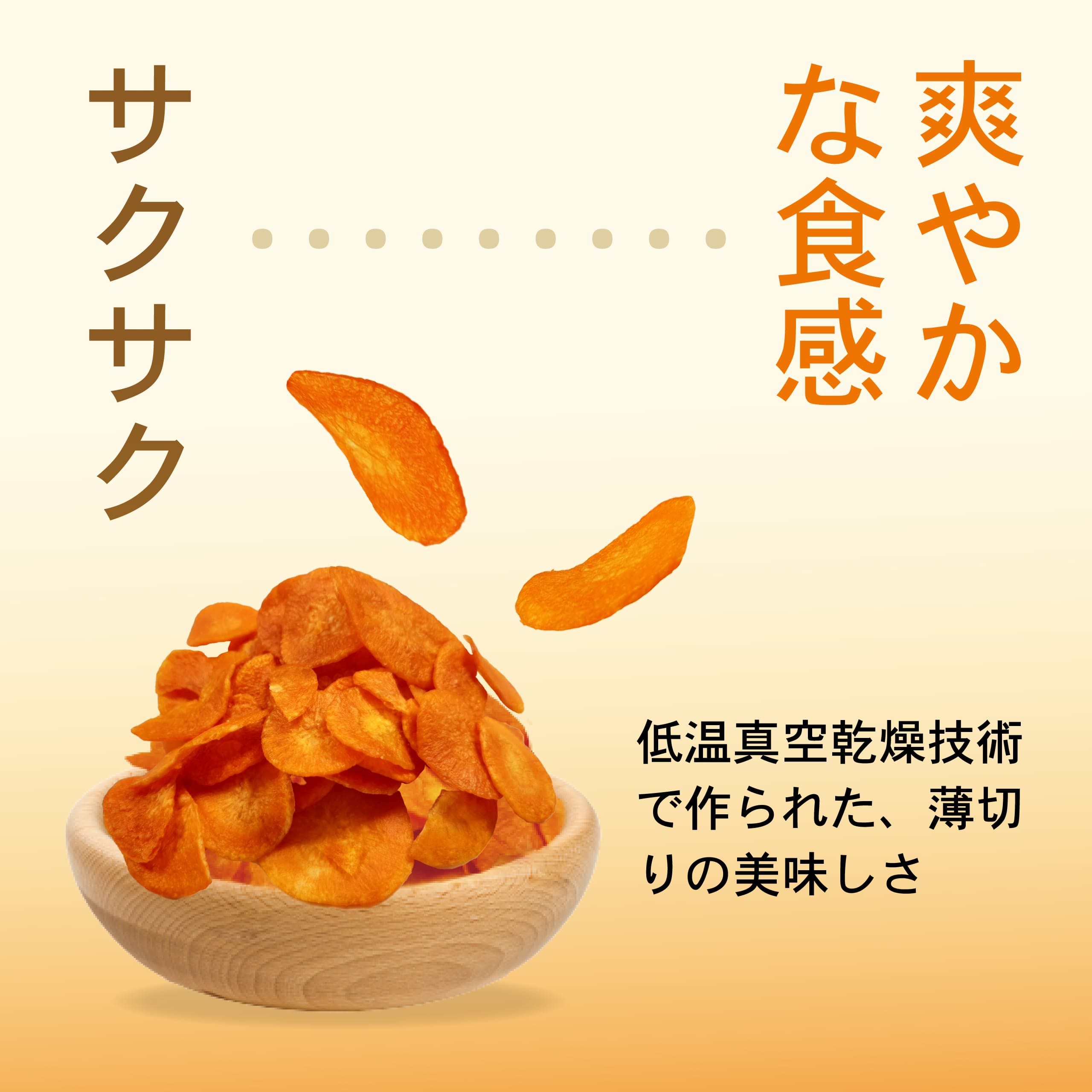 Frenature �ե�ͥ����㡼 �˥󥸥���åץ� | �����ե饤���� | ����ޡ��͹����ǡ��͹������Ի��� | Ĺ����¸��ǽ | 40�����