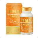 LOVITA NMN サプリ 38000 mg 超高純度99% β-NMN+レスベラトロール / 腸溶型 ベジタリアンカプセル 60粒 ハイパワーNAD+補給 送料無料