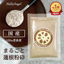 徳島産 れんこん パウダー 100g 国産 [メール便送料込] 粉末 健康 アレルギー 美容 ダイエット 健康 体質改善 健康食品 粉末 レンコン 蓮根パウダー ヨーグルト 調味料 隠し味 ちょい足し 花粉…