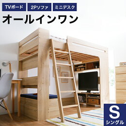TVボードやソファが付いた、夢のオールインワンロフト!