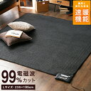 【送料無料】 【特許技術使用】 ホットカーペット本体 195×235cm 室温センサー搭載 電気カーペット 電気 マット ホットマット 省エネ 速暖機能 電磁波カット 3畳 ダニ退治 8時間自動オフタイマー 送料込