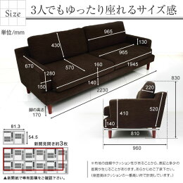 3人掛け北欧デザインナーズソファー