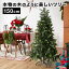 ֥ꥹޥĥ꡼ ĥ꡼ ʥȥå ʤ  ǼȢդ 150cm ѥ ɥĥȥҥĥ꡼ դͳ  christmas tree 襤  ̲Ȥ ե ץ쥼ȡפ򸫤