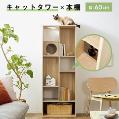 https://thumbnail.image.rakuten.co.jp/@0_mall/low-ya/cabinet/item_cart/storage/01/f506-g1017-100_01.jpg