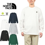 Ρե THE NORTH FACE NT32441 󥰥꡼֥⡼ܥåƥ T L/S SMALL BOX LOGO TEE T  ȥɥ  ǥ UVå ® Ĺµ 5顼  2024SS