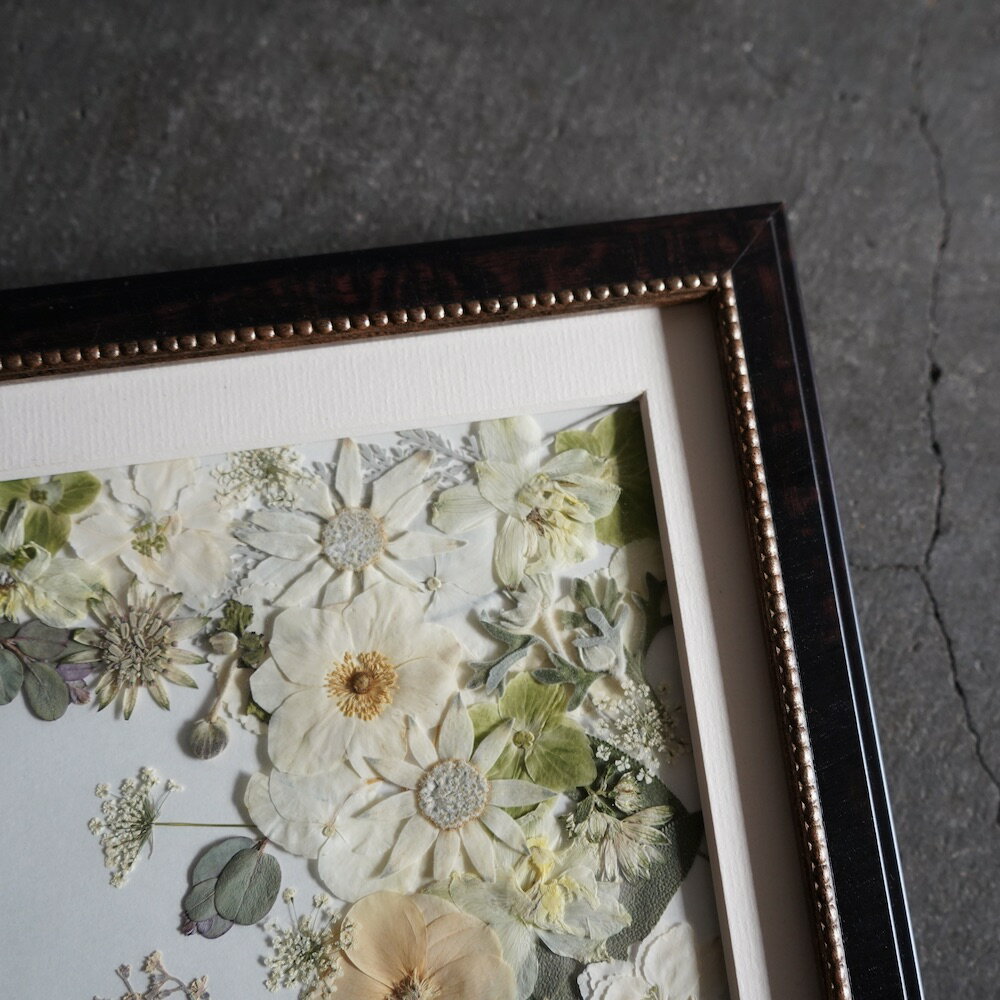 �ڥ��ե����֡��� ��Edi ���ǥ�������֥֡�����ֲ����֡������פ��Ƥ��Ϥ����ޤ����뺧�� ������ �ץ��ݡ��� ��ǰ�� �ե��ȥ����ǥ��� �����ǥ��� �֡��� ��« ��ǰ �Ĥ� �ץ쥹�ե� �ù� �ե졼��