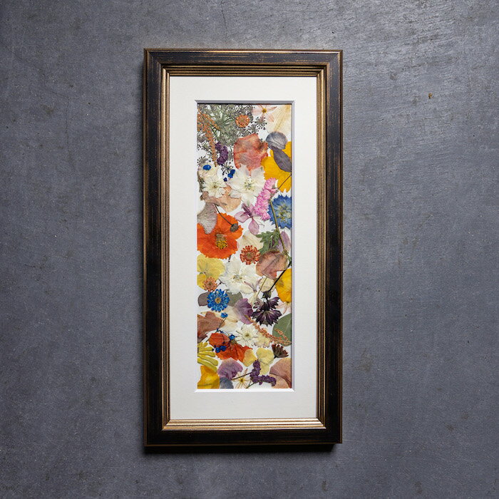 �ڥ��ե����֡��� ��Sparrow ���ѥ���������֥֡�����ֲ����֡������פ��Ƥ��Ϥ����ޤ����뺧�� �ץ��ݡ��� ��ǰ�� ������ �ե��ȥ����ǥ��� �����ǥ��� �֡��� ��« ��ǰ �Ĥ� �ץ쥹�ե� �ù� �ե졼��