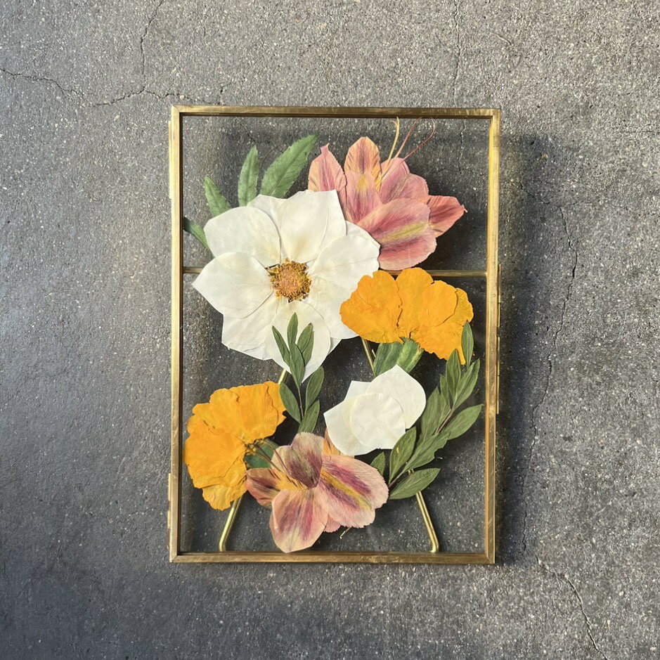 �ڥ��ե����֡��� ��Pau �ѥ�������֥֡�����ֲ����֡������פ��Ƥ��Ϥ����ޤ����뺧�� ������ �ץ��ݡ��� ��ǰ�� �ե��ȥ����ǥ��� �����ǥ��� �֡��� ��« ��ǰ �Ĥ� �ץ쥹�ե� �ù� �ե졼��