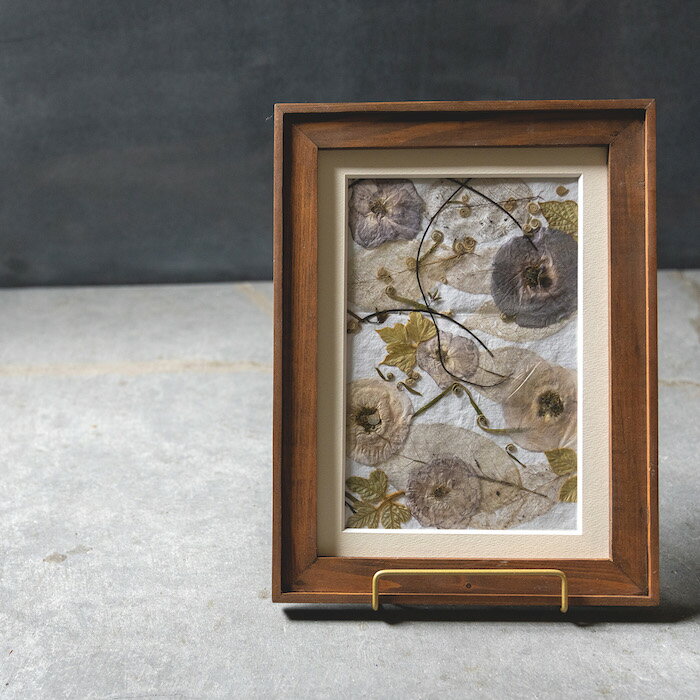 �ڲ����֥����ȥե졼��ۥ��åɥե졼�� �ݥԡ�