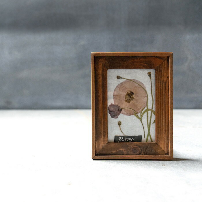 �ڲ����֥����ȥե졼��ۥ��åɥե졼�� �ݥԡ� mini