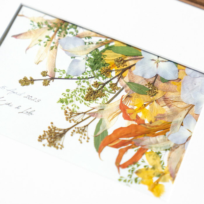 �ڥ��ե����֡��� ��ͥåȸ����� Dodi �ɥǥ�������֥֡�����ֲ����֡������פ��Ƥ��Ϥ����ޤ��� �뺧�� ������ �ץ��ݡ��� ��ǰ�� �ե��ȥ����ǥ��� �����ǥ��� �֡��� ��« ��ǰ �Ĥ� �ץ쥹�ե� �ù� �ե졼��