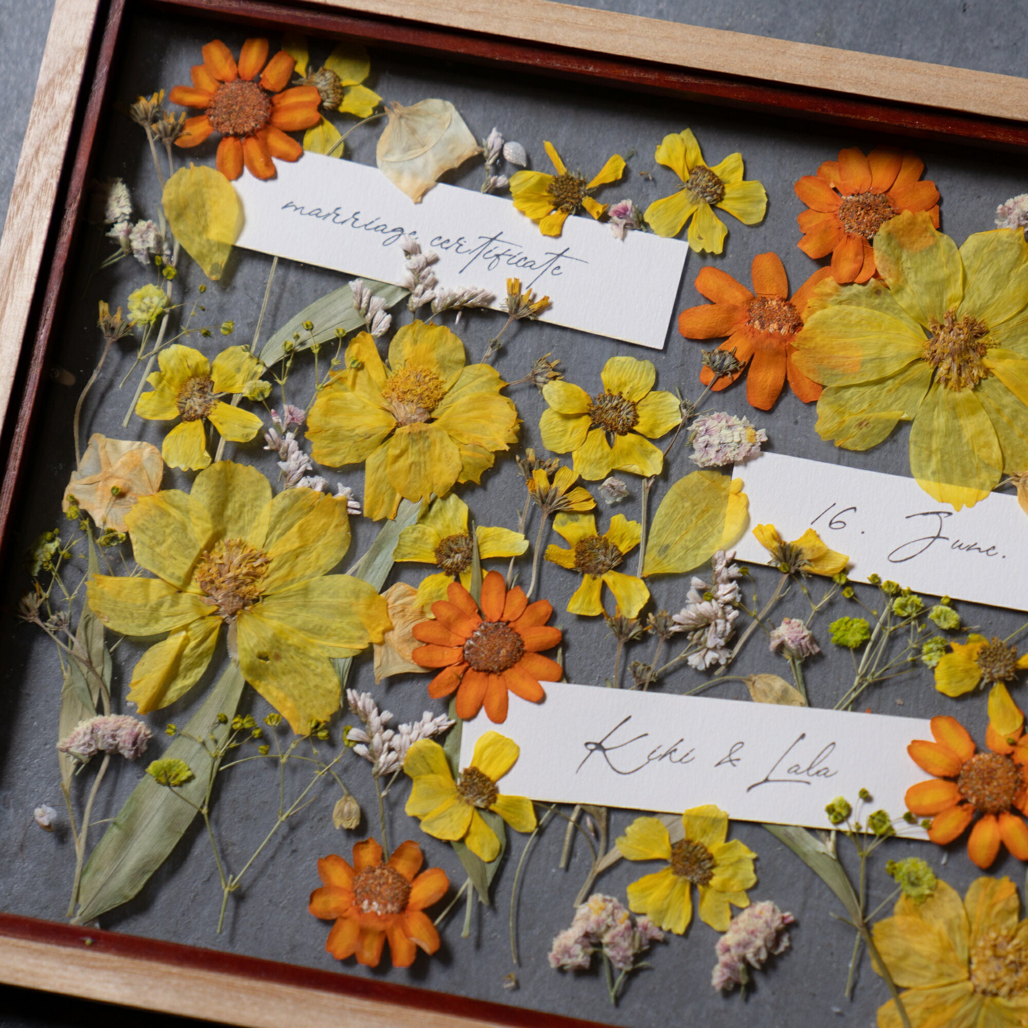 �ڷ뺧������ۥ����Ȼ��÷� �ץ쥹�ե��뺧������S��������30̾�ͤޤǡ�