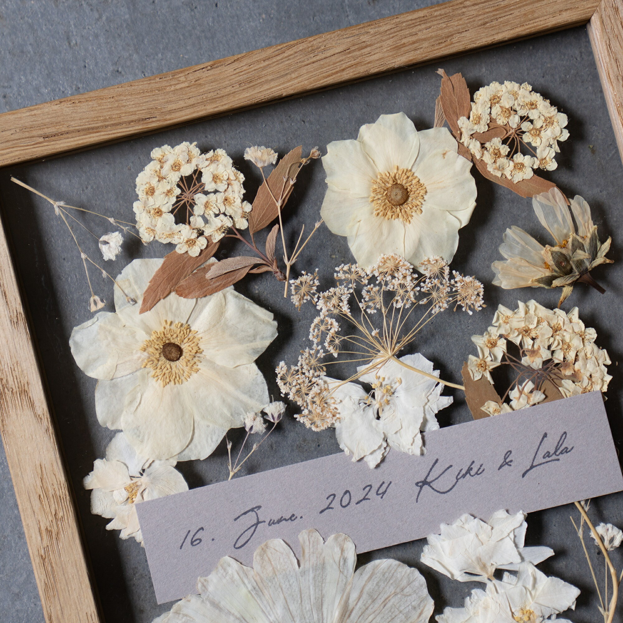 �����֥ե졼�� �ۥ磻�� �ץ쥹�ե� ������ �ե졼�� �����ȥե졼�� ����ƥꥢ �ɾ��� ���� ������� ������� ��� ��ǰ �ץ쥼��� ���ե� �ˤ� ��ǰ