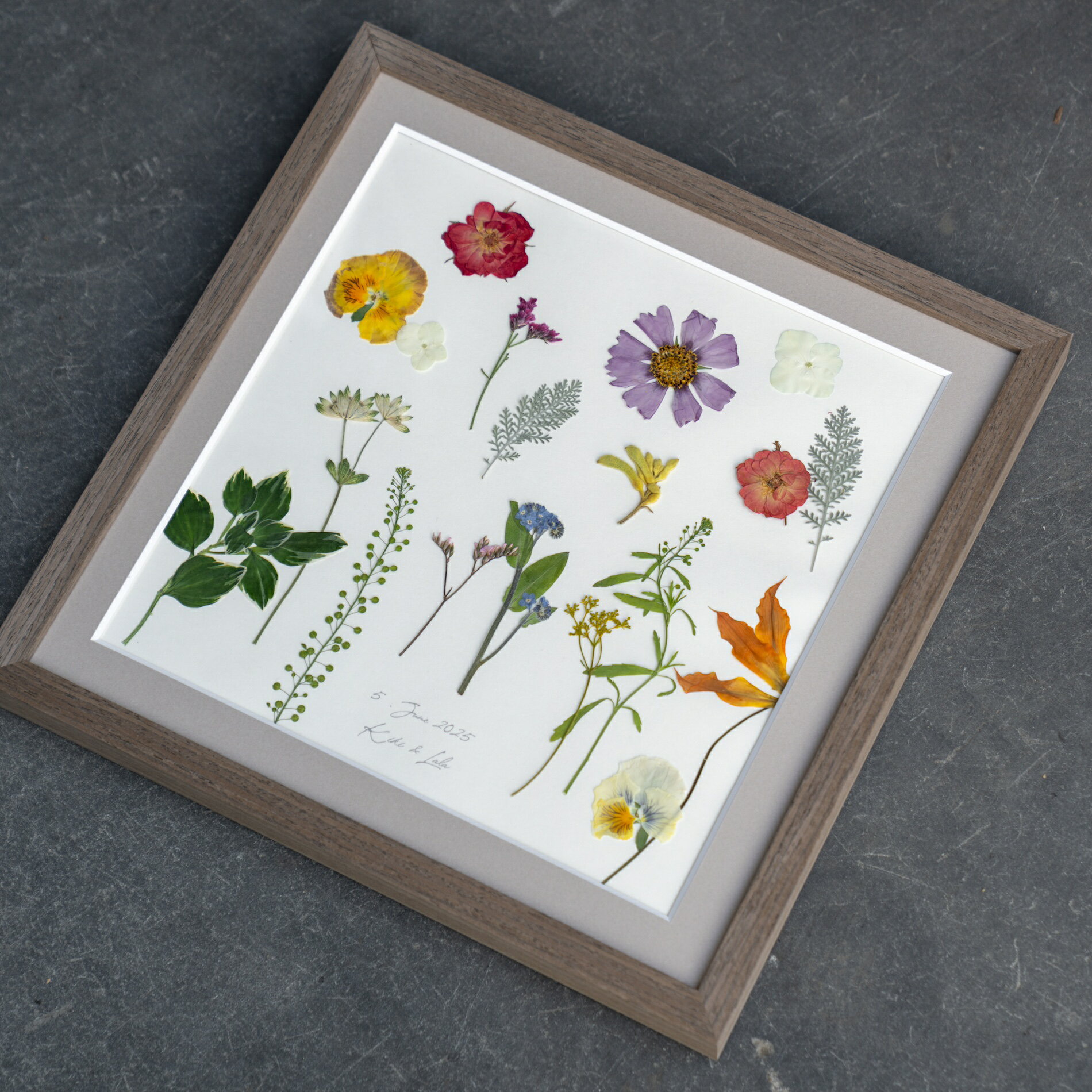 �ڥ��ե����֡��� ��Weiss �磻��������֥֡�����ֲ����֡������פ��Ƥ��Ϥ����ޤ����뺧�� ������ �ץ��ݡ��� ��ǰ�� �ե��ȥ����ǥ��� �����ǥ��� �֡��� ��« ��ǰ �Ĥ� �ץ쥹�ե� �ù� �ե졼��