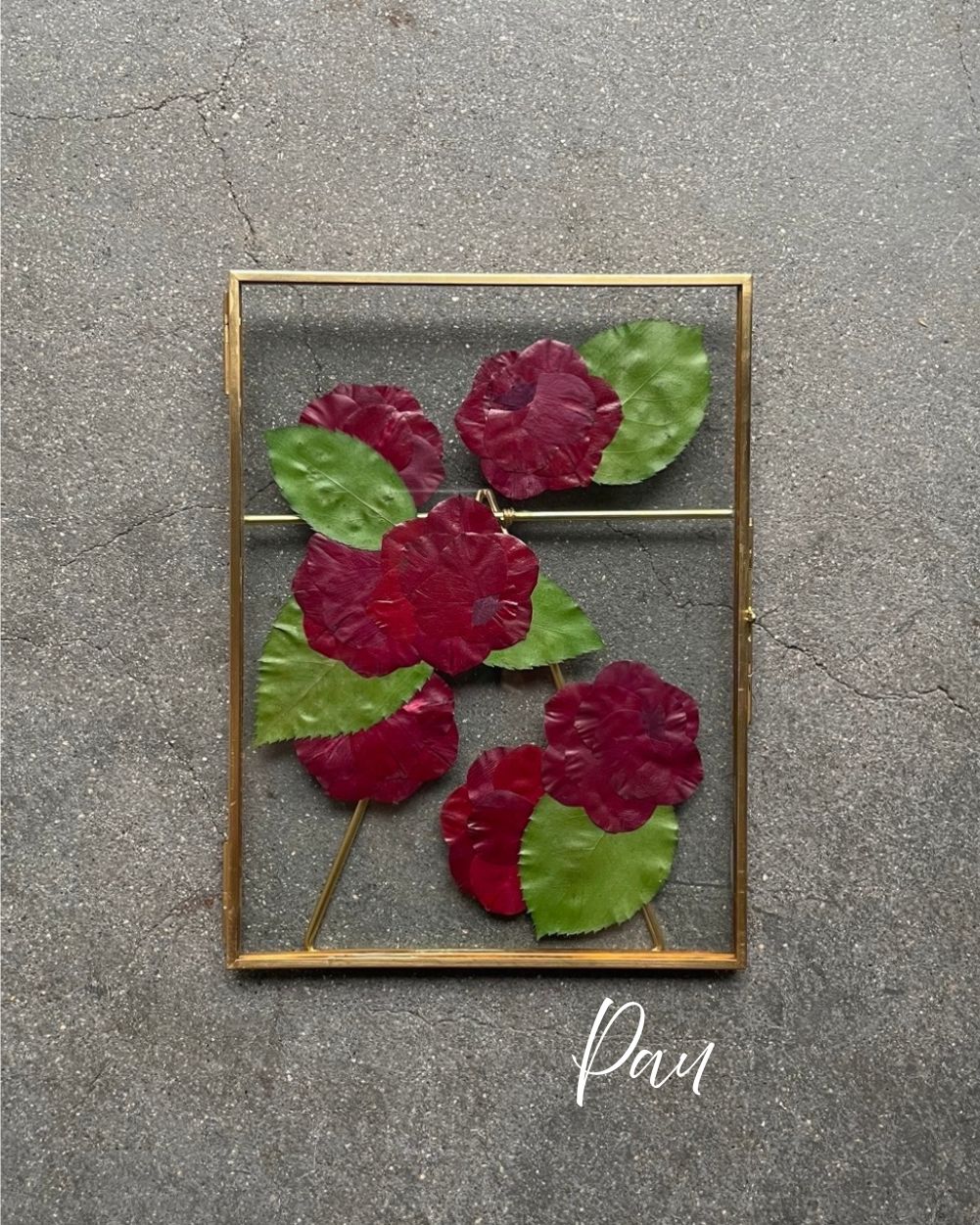 ���֥Х����ѡե��ե����֡��� -17����γ۱狼�餪���Ӥ��������ޤ�-�����ե����֡��� �ץ쥹�ե� ������ �����ǥ��� �֡����ù� ���� �뺧�� �ץ��ݡ��� ��ǰ�� ������ �ե��ȥ����ǥ��� �����ǥ��� �֡��� ��« ��ǰ �Ĥ� �ù� �ե졼��