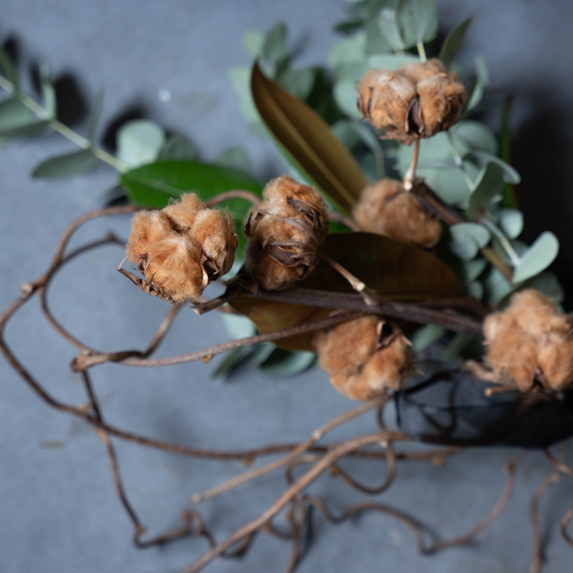 ユーカリとコットンフワラーのスワッグ　アレンジメント ドライフラワー プリザーブドフラワー 季節の花 プレゼント ギフト 誕生日 記念日 お祝い プチギフト インテリア おしゃれ ナチュラル クリスマス飾り スワッグ 壁掛け 壁飾り コットンフラワー ユーカリ