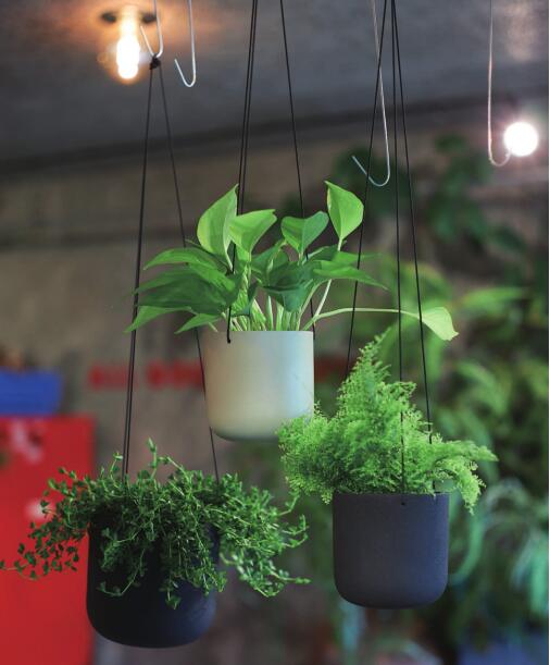 樂天商城 - アスタハンギング BK〈11・14・17サイズからお選びいただけます〉　ハンギングポット ハンギング 観葉植物 吊るす インテリア おしゃれ シンプル プレゼント ギフト 鉢 鉢カバー