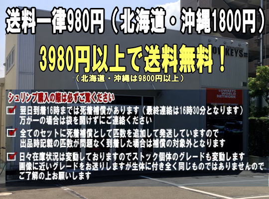 レッドファンシータイガー シュリンプ 選別漏れ...の紹介画像3