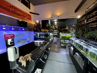 �֥�å��ӡ�������� ��A���饹��50ɤ�ܦ�������������