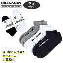 15̂ő SALOMON EVERYDAY LOW 3-PACK T GufC [ 3pbN Y fB[X C slm-every-low-3p