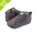 yvCX_Ez 15̂ő CONVERSE BABY ALL STAR N L.L.Bean Z Ro[X xr[ I[X^[ N GGr[ Z qǂ STONE GRAY O[ 37302190