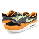 15̂ő NIKE AIR MAX 1 PRM iCL GA }bNX 1 v~A Y Xj[J[ [Jbg ANTHRACITE/HONEYDEW/BLACK/KUMQUAT ubN DZ0482-001