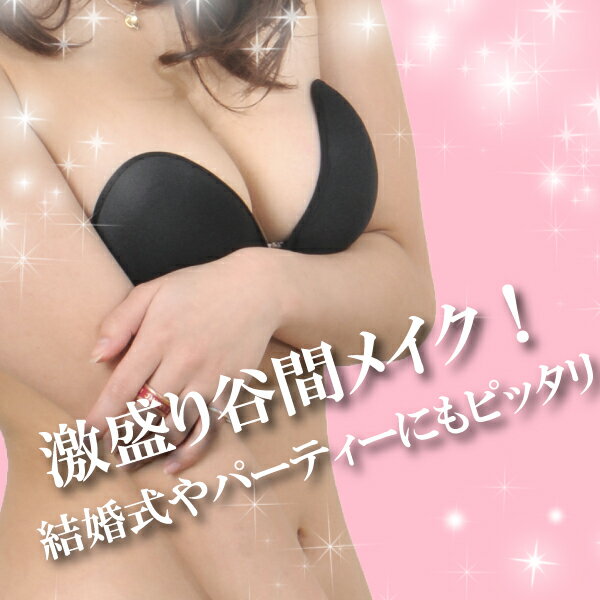 MAKEUP BRA メイクアップブラヌードブラのような質感！ドレスやワンピースなどに【下着 水着 ブラジャー バストアップ ボリューム 盛り 谷間 胸 シームレス ホック パーティ 結婚式 キャバ嬢 ビーチ コスプレ】