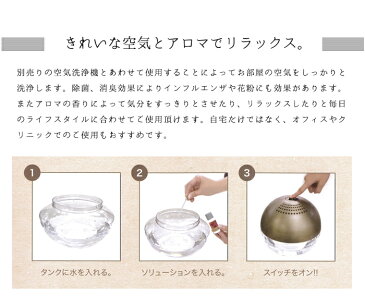 送料無料 アロマソリューション120ml2コセット COCORO@mode 空気洗浄機【エアーフレッシュナー 空気清浄機 水 除菌 消臭 脱臭 天然 アロマ 健康 インテリア 雑貨 花粉 おしゃれ ADIR アディール ポイント2倍】夏ギフト