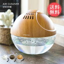 送料無料 theater 空気洗浄機 アロマソリューション 【 空気清浄器 水 除菌 消臭 脱臭 天然 アロマソリューション アロマ 花粉症 アロマテラピー お...